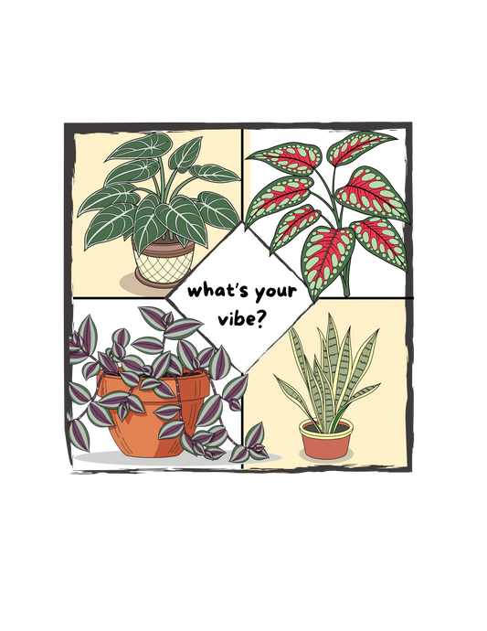 You can Never Have too Many Houseplants
